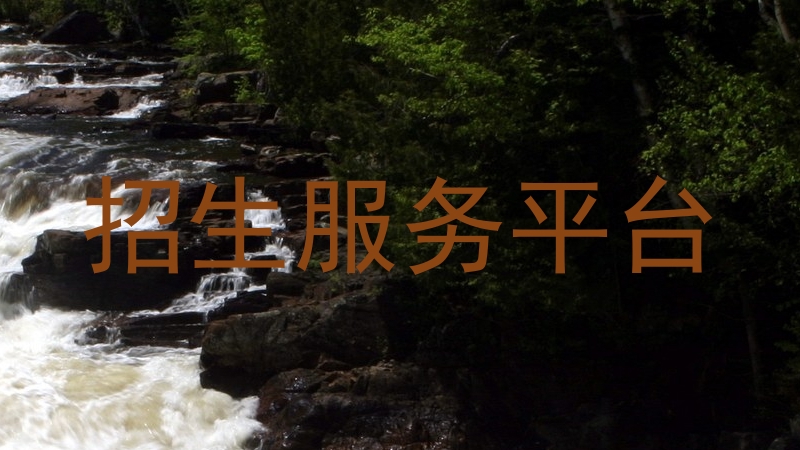 招生服务平台