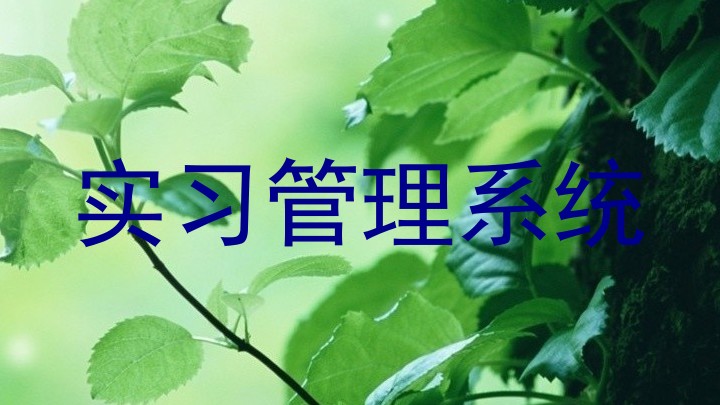 实习管理系统
