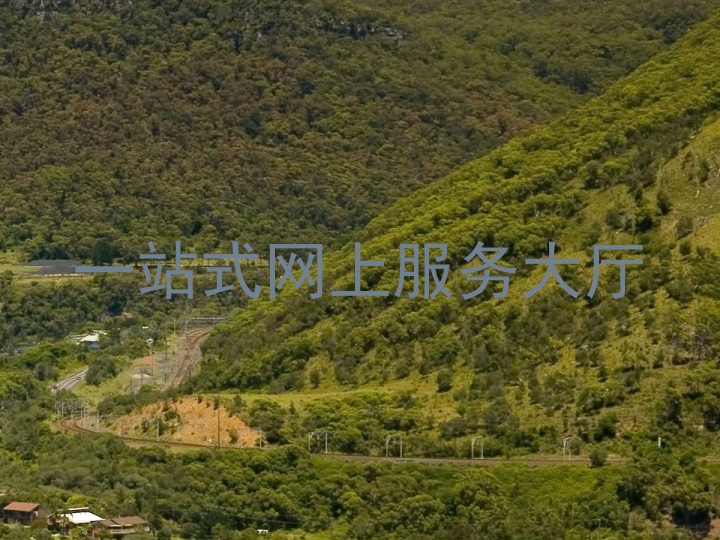 一站式网上服务大厅