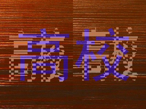 高校