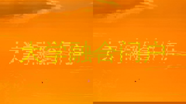 大学融合门户