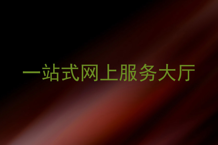 一站式网上服务大厅