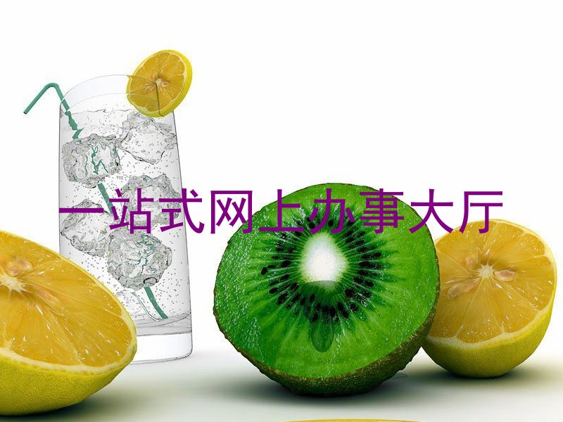 一站式网上办事大厅
