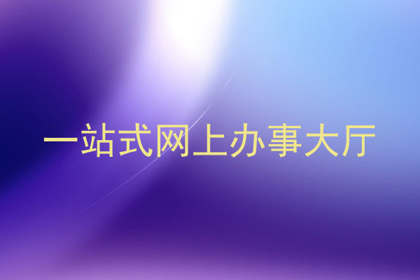 一站式网上办事大厅