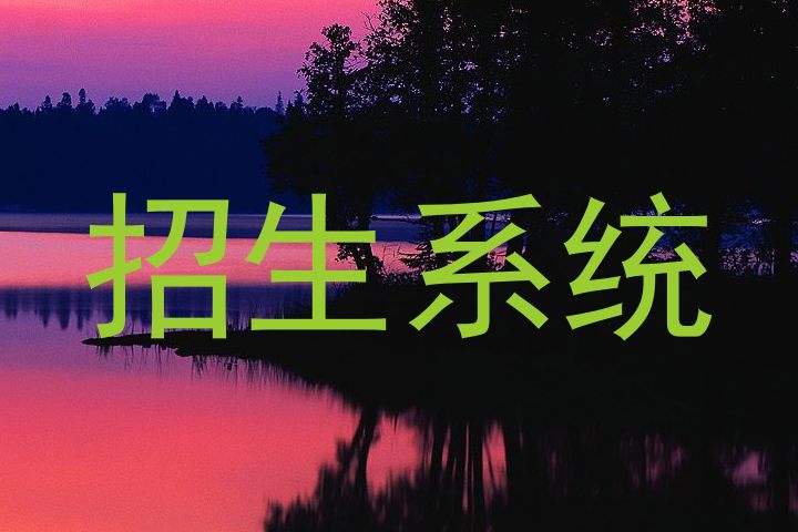 招生系统