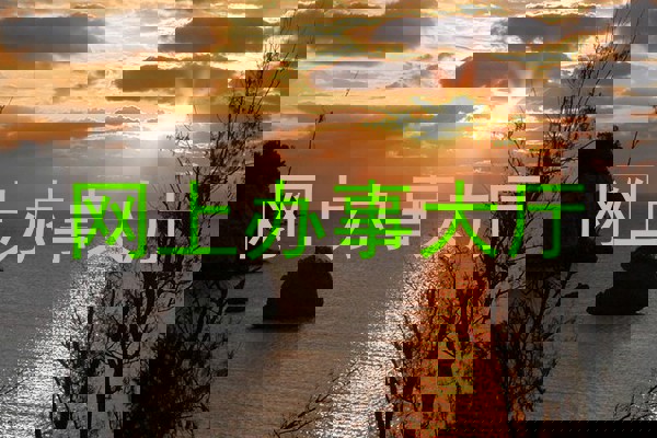 网上办事大厅