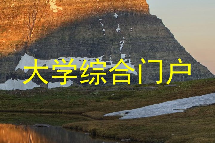 大学综合门户