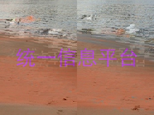 统一信息平台