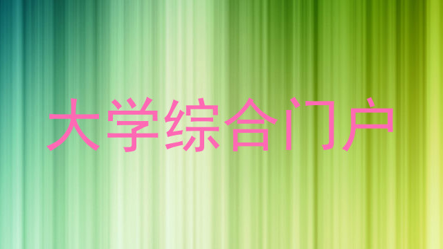 大学综合门户