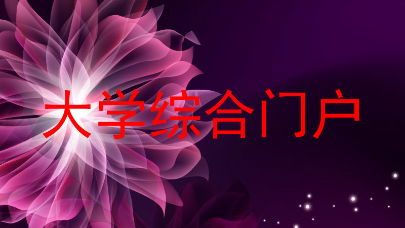 大学综合门户