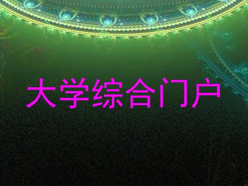 大学综合门户