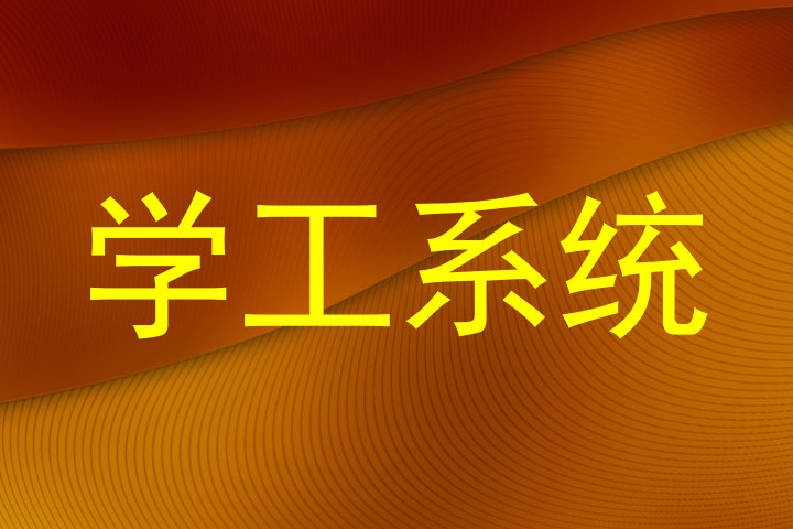 学工系统