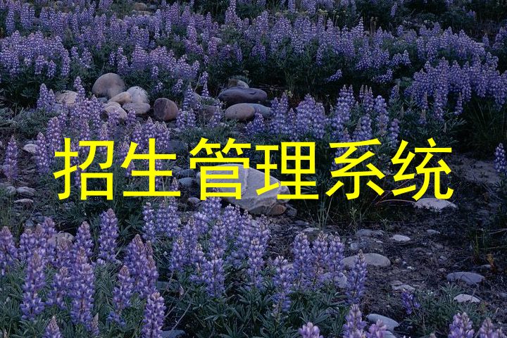 招生管理系统