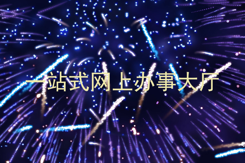 一站式网上办事大厅