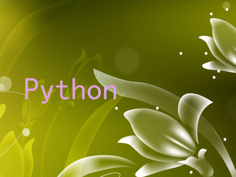 Python