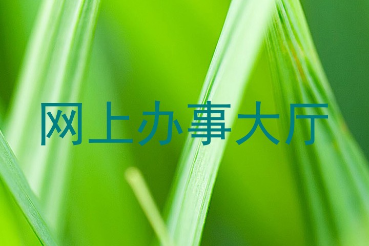 网上办事大厅