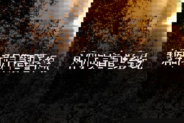 科研项目管理系统