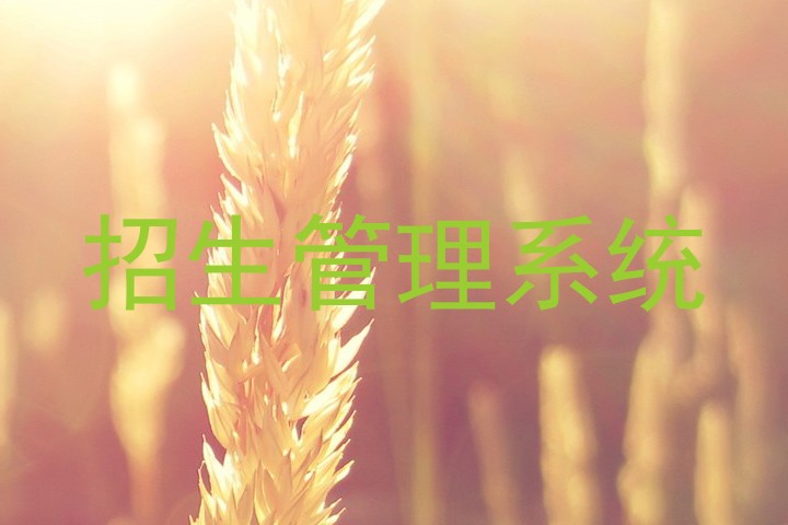 招生管理系统