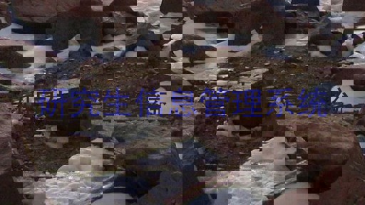 研究生信息管理系统