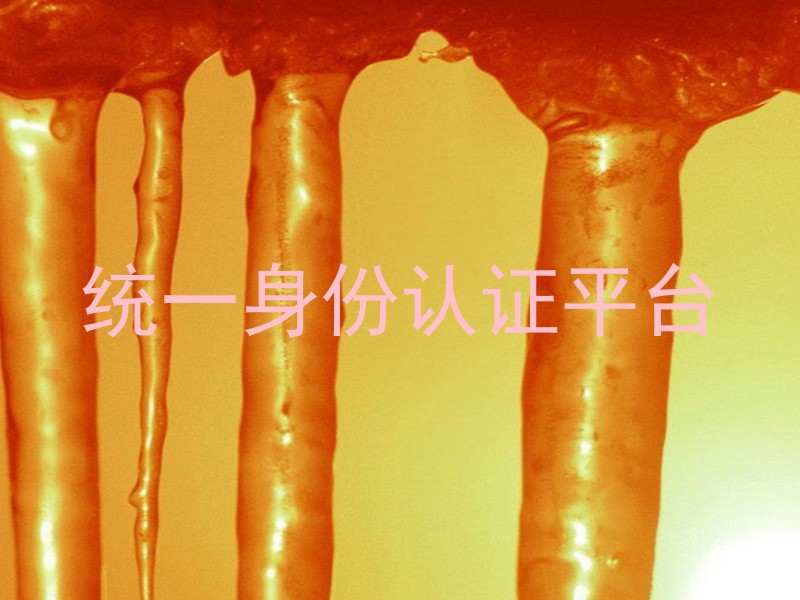 统一身份认证平台
