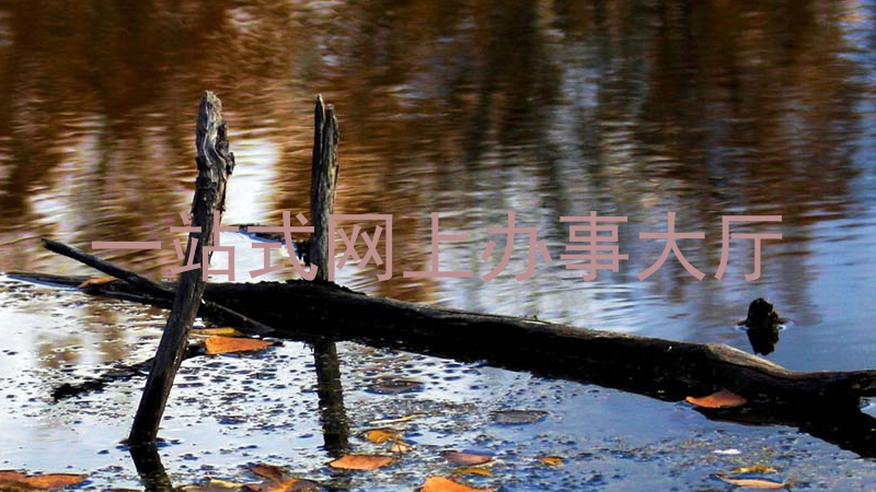 一站式网上办事大厅