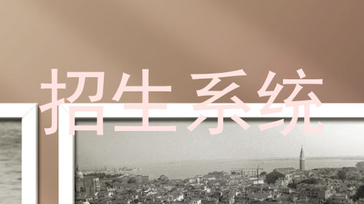 招生系统