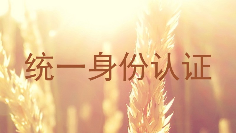 统一身份认证