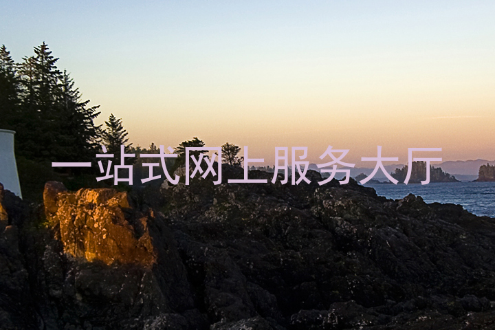 一站式网上服务大厅