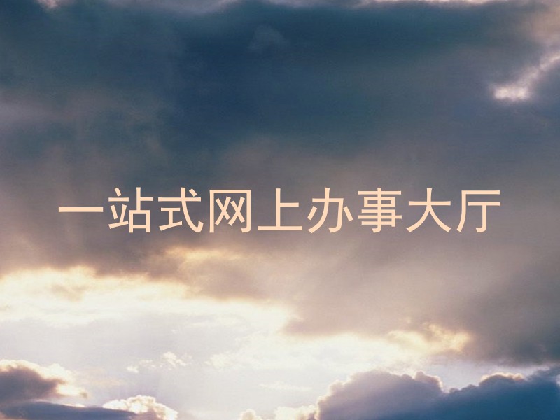 一站式网上办事大厅