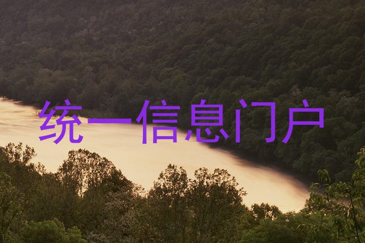 统一信息门户