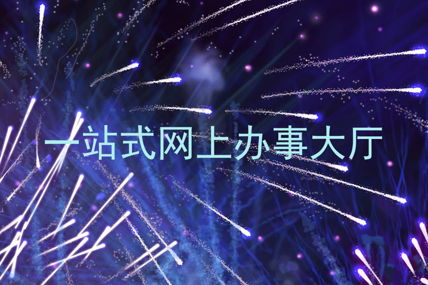 一站式网上办事大厅