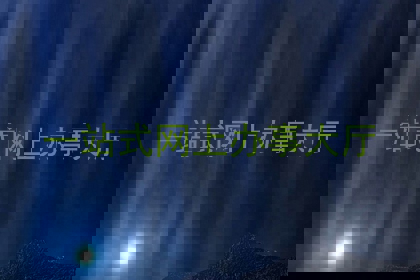 一站式网上办事大厅
