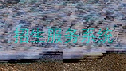 招生服务系统