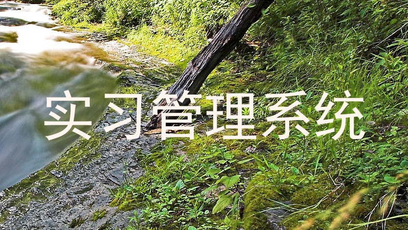 实习管理系统