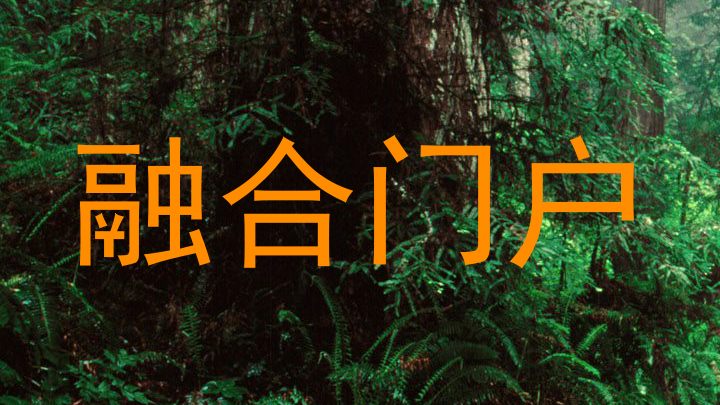 融合门户