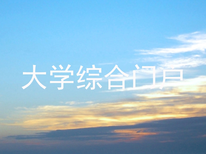大学综合门户