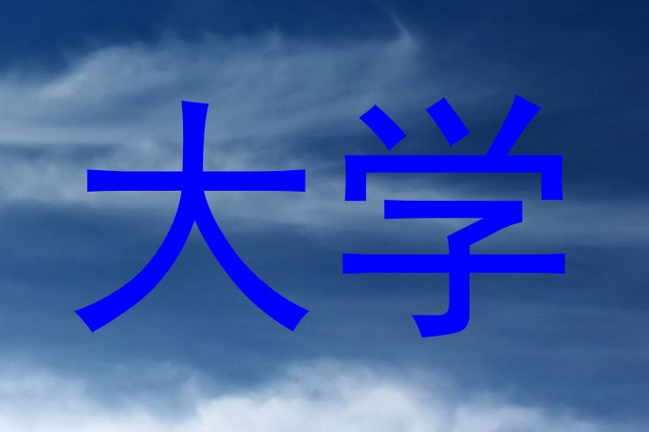 大学