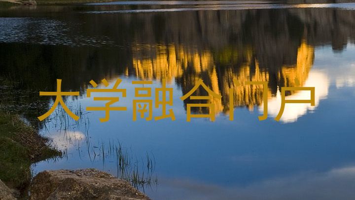 大学融合门户