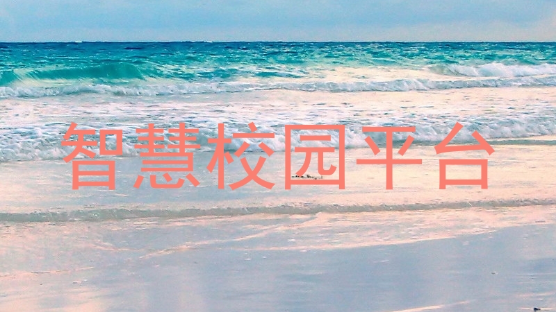 智慧校园平台