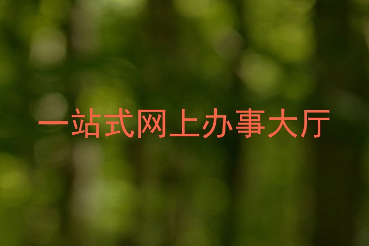 一站式网上办事大厅