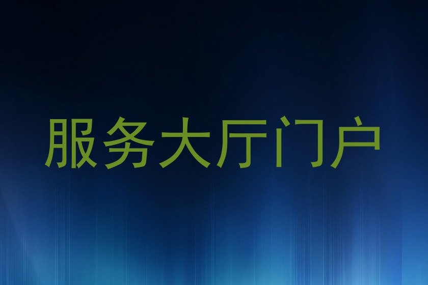 服务大厅门户