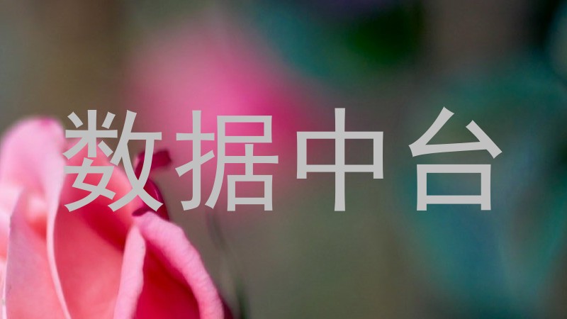 数据中台