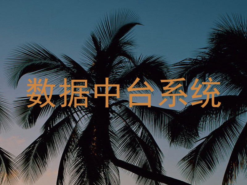 数据中台系统