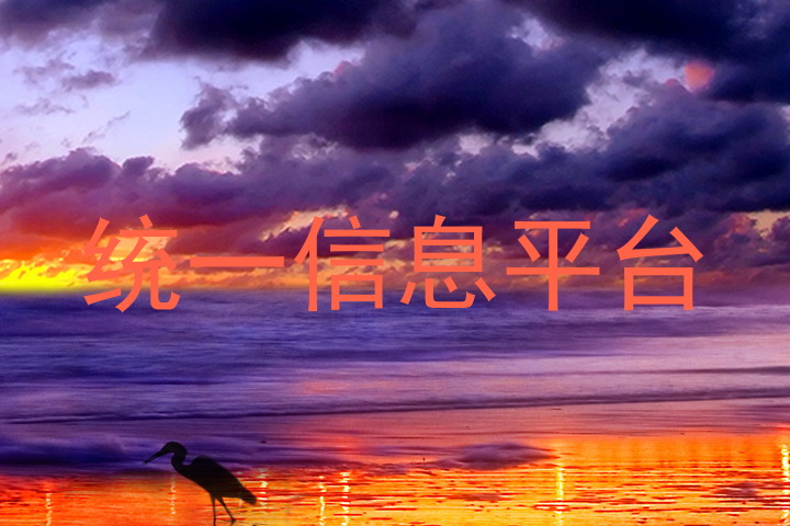 统一信息平台