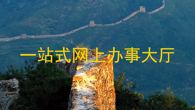 一站式网上办事大厅