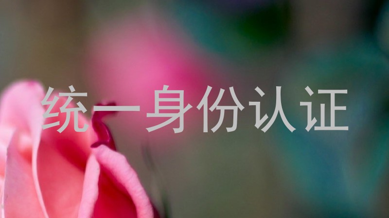 统一身份认证