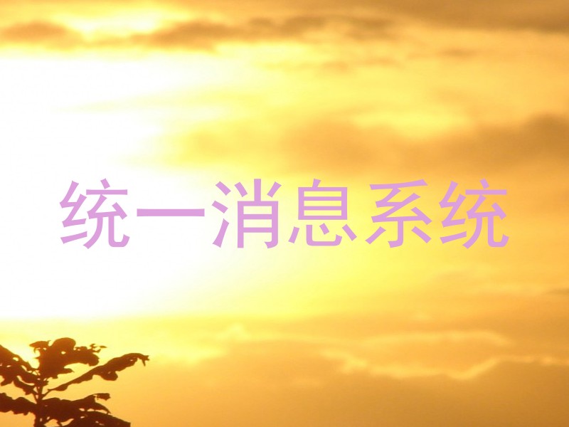 统一消息系统