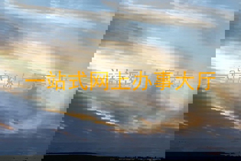 一站式网上办事大厅