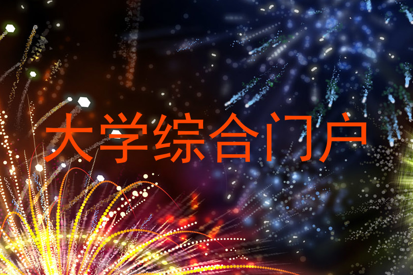大学综合门户