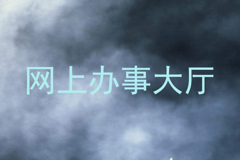 网上办事大厅
